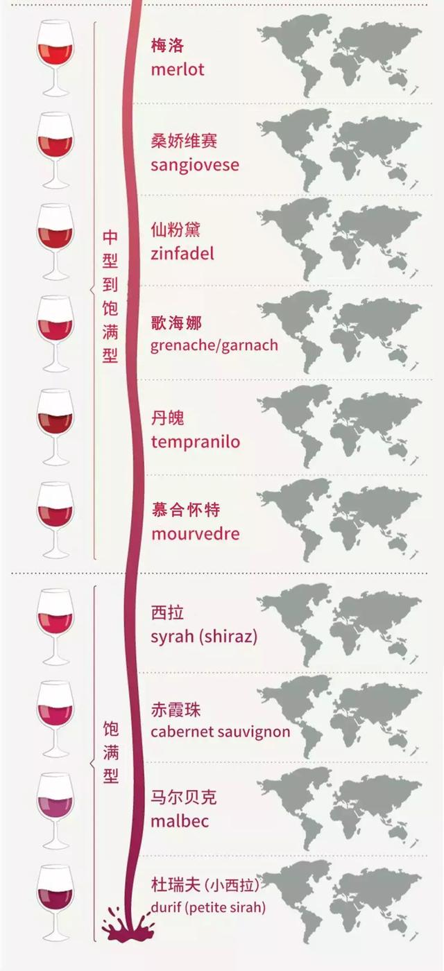 究竟什么是葡萄酒的酒体？