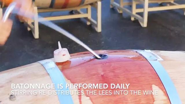 从葡萄嫩芽到葡萄酒的全过程！葡萄酒是有生命的
