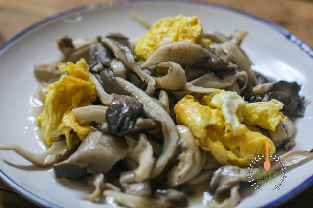 蘑菇炒蛋是先炒鸡蛋还是蘑菇，许多人没搞清楚，难怪味道不够鲜