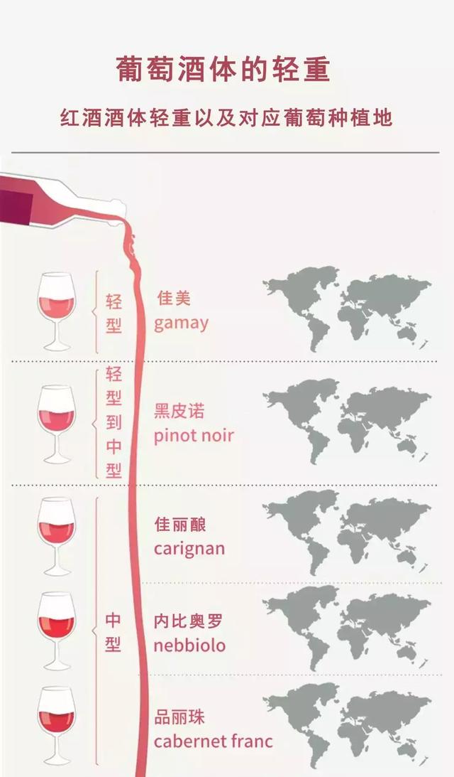 究竟什么是葡萄酒的酒体？