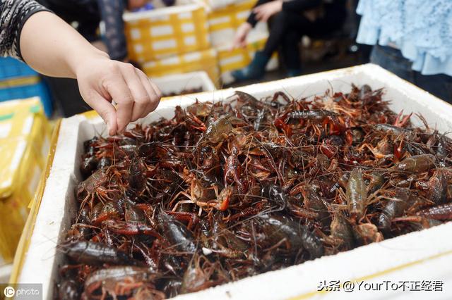 十大最能吃小龙虾城市排名出炉：魔都大比分领先，1年吃掉6千万斤
